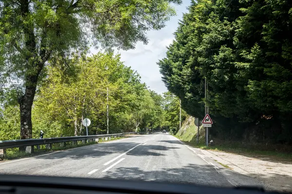 Viana do Castelo ve Bragana belediyeleri arasında, güzel ve yeşil bahar bitkileriyle çevrili, 103, N103 numaralı ulusal yolun bir bölümünün görüntüsü..