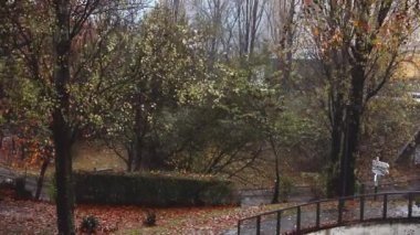 Yağmurlu ve rüzgarlı bir sonbahar günü, çıplak ağaçlar ve yapraklar ıslak zemine saçılmış. Arka planda arabaların geçtiği bir sokak. 