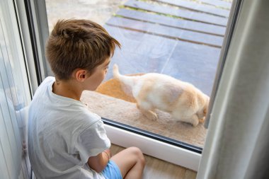 Bir çocuk, dışarıda oturan Golden Retriever köpeğine camdan bakar. Çocukla evcil hayvanı arasında hassas bir bağ kurar..