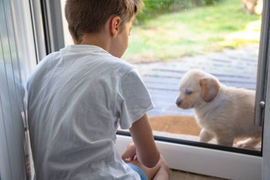 Bir çocuk, dışarıda oturan Golden Retriever köpeğine camdan bakar. Çocukla evcil hayvanı arasında hassas bir bağ kurar..