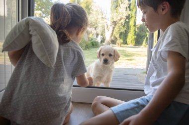 İki çocuk, bir kız ve bir oğlan cam kapının yanında oturmuş Golden Retriever köpeğini izliyorlar. Çocuklarla evcil hayvanlar arasındaki hassas an..