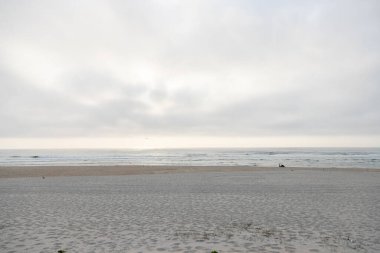 Gün batımında geniş beyaz bir kumsal, bulutlu bir gökyüzünün altında hafif dalgalar akıyor. İnsanlar kıyıda, deniz kenarındaki huzurlu ve sessiz atmosferin tadını çıkarıyorlar. Costa Nova, Aveiro, Portekiz