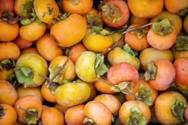 Hasattan sonra taze hurma yığınını kapatıyoruz. Farklı olgunluk dereceleri, turuncu ve sonbahar mevsiminin tatlı mevsimlik meyveleriyle..