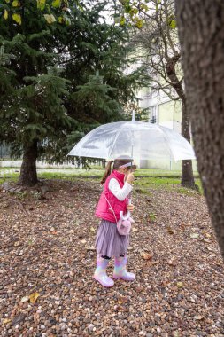 Şeffaf bir şemsiye tutan genç bir kız, sonbahar boyunca bir parkta yapraklarla kaplı bir patikada duruyor, renkli ağaçlarla çevrili. Bulutlu bir günün huzurlu atmosferinin tadını çıkarıyor..