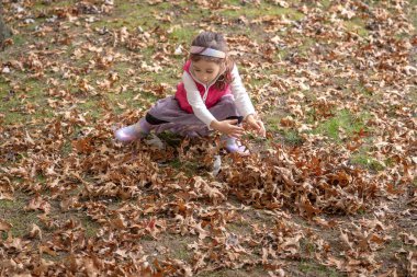 Pembe yelek ve gökkuşağı çizmeleri giyen genç bir kız güneşli bir öğleden sonra parkta sonbahar yapraklarını toplar mevsimsel güzelliğin tadını çıkarır ve doğanın eğlenceli keşifleriyle meşgul olur..
