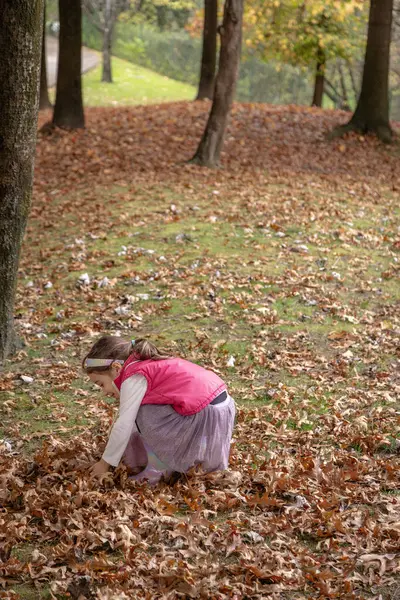 Pembe yelek ve gökkuşağı çizmeleri giyen genç bir kız güneşli bir öğleden sonra parkta sonbahar yapraklarını toplar mevsimsel güzelliğin tadını çıkarır ve doğanın eğlenceli keşifleriyle meşgul olur..