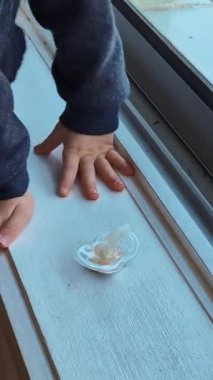 Bir çocuk, aşırı kullanım belirtileri gösteren yıpranmış meme uçlu bir emzik tutuyor. Görüntü önemli bir geçiş evresini yakalar, duygusal bağlılık ve gitmesine izin verme mücadelesini sembolize eder..
