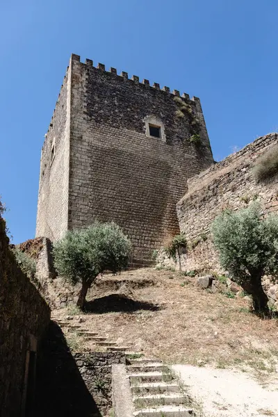 Portekiz, Castelo de Vide Kalesi, Portalegre bölgesinde bir ortaçağ kalesi. Zeytin ağaçları ve taş duvarlarla çevrili bu tarihi yer, zengin geçmişteki bölgelere kısa bir bakış sunuyor..