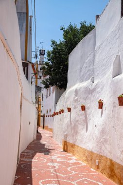 Ağustos 2024 'te Nisa, Portalegre, Alentejo, Portekiz' de çekilen bu sakin sokakta teras ve mermerden yapılmış geleneksel çiçek desenli kaldırımlar yerel işçiliği yansıtıyor..