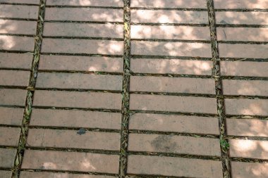 Bir yaz öğleden sonra çekilen güneşli bir açık hava geçidine yakın çekim. Boşluklar arasında kuru yapraklarla kaplı dar bir terasotta tuğlası deseni görülüyor..