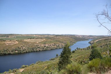 Ağustosta yemyeşil tepelerden akan kıvrımlı Tejo Nehri 'nin nefes kesici hava manzarası. Portekiz, Vila Velha de Rodao 'daki geniş manzaranın sakin ve panoramik görüntüsü.