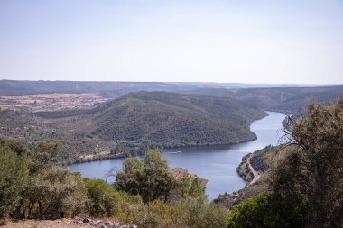 Ağustosta yemyeşil tepelerden akan kıvrımlı Tejo Nehri 'nin nefes kesici hava manzarası. Portekiz, Vila Velha de Rodao 'daki geniş manzaranın sakin ve panoramik görüntüsü.