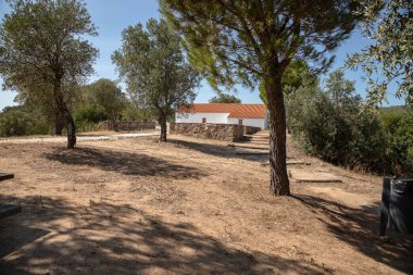 Portekiz, Vila Velha de Rdo, Castelo, Portekiz 'de, açık gökyüzü ve çevreleyen ağaçlarla dolu açık bir yaz gününde yakalanan küçük, bembeyaz bir kilise..