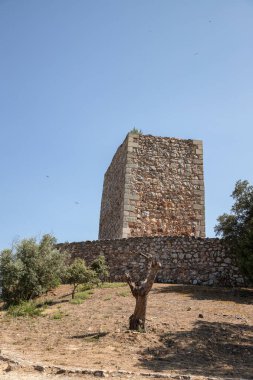 Rodao Kalesi (Castelo do Rei Vamba) Vila Velha de Rodao, Castelo Branco, Portekiz 'de, güneşli bir yaz gününde, mavi gökyüzü altında ağaçlar ve çalılar tarafından çerçevelenmiştir..