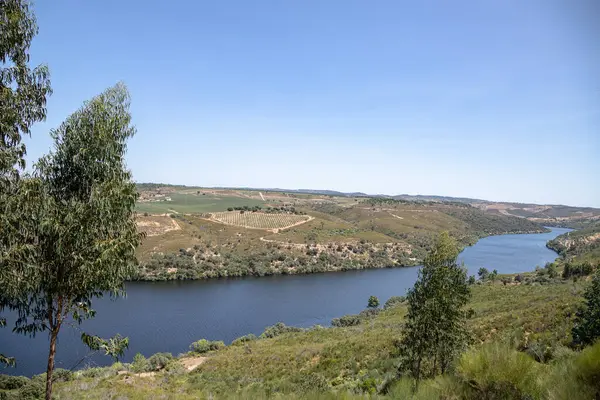 Ağustosta yemyeşil tepelerden akan kıvrımlı Tejo Nehri 'nin nefes kesici hava manzarası. Portekiz, Vila Velha de Rodao 'daki geniş manzaranın sakin ve panoramik görüntüsü.