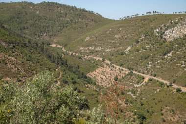 Vila Velha de Rdo, Castelo Branco, Portekiz 'de açık yaz gökyüzü altında, gün ortasında hiç insan ya da bina görünmeden, kuru ve teraslı bir dağ manzarası..