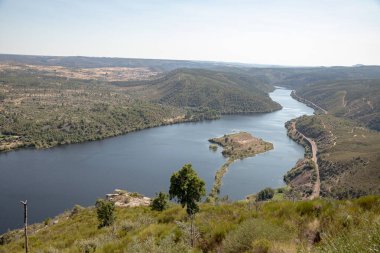 Ağustosta yemyeşil tepelerden akan kıvrımlı Tejo Nehri 'nin nefes kesici hava manzarası. Portekiz, Vila Velha de Rodao 'daki geniş manzaranın sakin ve panoramik görüntüsü.