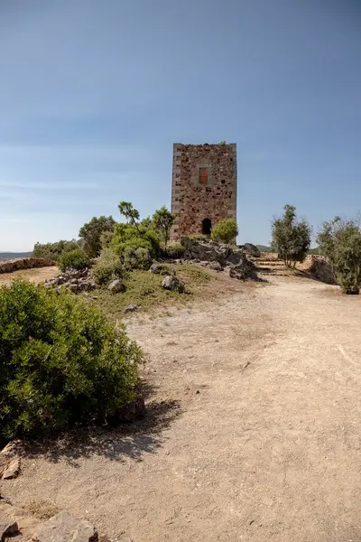 Vila Velha de Rodao, Portekiz 'deki Rodao Ortaçağ Şatosu' na giden yol, güneşli bir yaz gününde, mavi gökyüzü altındaki ağaçlar ve çalılar tarafından çerçevelenmiştir..