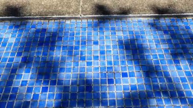 Gün ortası gölgeleri, halka açık bir yüzme alanında huzurlu bir yaz anında yakalanan parlak mavi bir havuz kenarı fayansının üzerine düşüyor. Bu durum, sakinlik, dinlenme ve tatil basitliğini çağrıştırıyor..