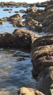 Foz do Douro 'daki Gondarem Sahili, Porto, Portekiz. Kayalık sahil şeridinde sakin bir gelgit ve kaba kum. Yazın Atlantik kıyısında dinlenmek ve dinlenmek için mükemmel..