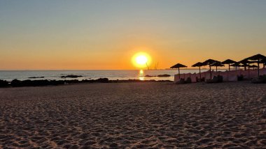 Portekiz 'in Porto kentindeki Homem do Leme plajında 8 Temmuz 2025' te, siluetli plaj şemsiyelerini ve turnaları altın gökyüzüne karşı göstererek Atlantik Okyanusu kıyısında huzurlu bir tatil akşamını görüntülediler..