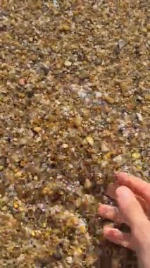 Sahilde ıslak çakıl taşlarına dokunan bir insan, parmaklarının arasından denizin dokusunu hisseder. Gün ışığında, doğa ve okyanusla duygusal bir bağlantı anında yakalandılar. Kapat. 