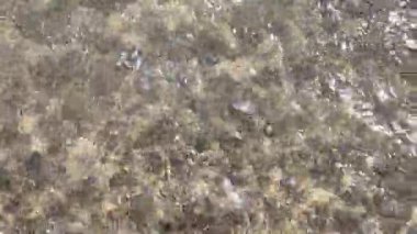 Deniz suyu, güneşli bir günde Portekiz 'in Matosinhos plajındaki kumlu zeminde yavaşça hareket ederek doğal dokuları, ışık yansımalarını ve kıyı hareketlerini yakalar..