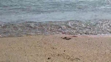 Küçük dalgalar, güneşli bir günde, Portekiz 'in Matosinhos Sahili' nin güzel kumsalına yavaşça ulaşır. Atlantik Okyanusu kıyısında sakin ve zamansız bir anı yakalar..