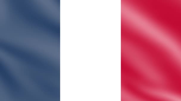 France Waving Flag Wind France Flag Waving Animation Footage — стокове відео