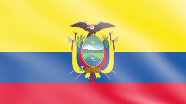2014 Ecuador Flag Wind Flag Waving Animation Footage — 비디오