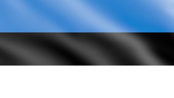 Észtország Zászló Szélben Zászló Integetés Animáció Footage — Stock videók