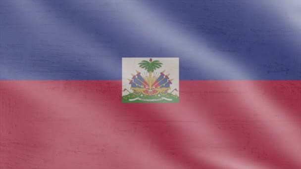 Flaga Haiti Wietrze Flaga Waving Animation Nagranie — Wideo stockowe