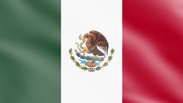 Flaga Meksyk Wietrze Flaga Waving Animation Nagranie — Wideo stockowe