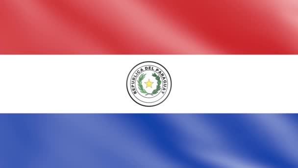Paraguay Flagga Vinden Flagga Viftande Animation Bilder — Stockvideo