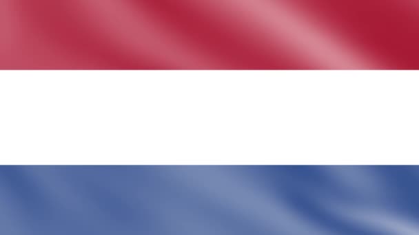 Nederlandse Vlag Wind Vlag Zwaaien Animatie Beelden — Stockvideo