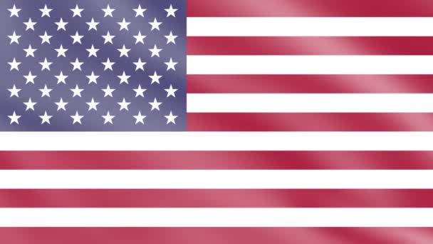 Verenigde Staten Vlag Wind Vlag Zwaaien Animatie Beelden — Stockvideo
