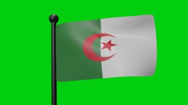 3D Flag Waving on Green Screen Background for Game Flag Item or Symbol