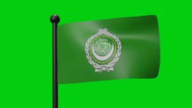3D Flag Waving on Green Screen Background for Game Flag Item or Symbol