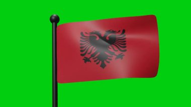 3D Flag Waving on Green Screen Background for Game Flag Item or Symbol