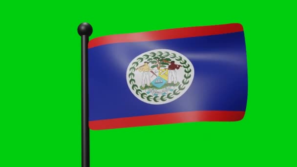 Σημαία Κυματίζει Πράσινο Φόντο Οθόνη Για Παιχνίδι Σημαία Στοιχείο Σύμβολο — Αρχείο Βίντεο