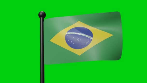 Flag Brazil Waving Wind Green Screen Luma Matte — Wideo stockowe