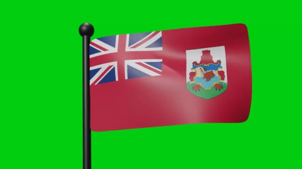 Flag Bermuda Waving Wind Green Screen Luma Matte — Video Stock