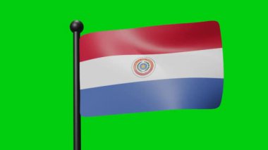 Paraguay Flag Waving in Slow Motion on the green background. 3D Render Flag. National Day Celebration