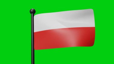 Poland Flag Waving in Slow Motion on the green background. 3D Render Flag. National Day Celebration