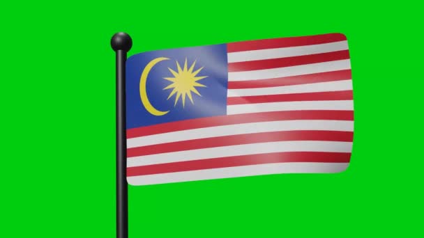 马来西亚国旗在绿色背景上缓慢摇曳 3D渲染旗帜 国庆庆祝活动 — 图库视频影像
