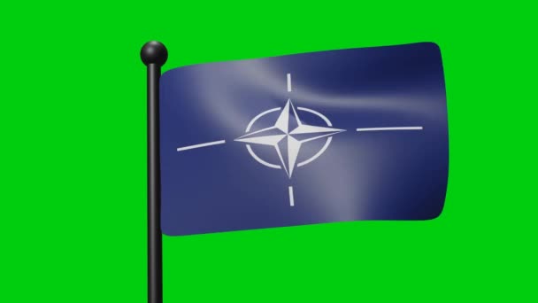 Nato Flag Waving Slow Motion Green Background Render Flag National — Vídeo de stock