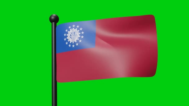 Myanmar Flag Waving Slow Motion Green Background Render Flag National — Wideo stockowe