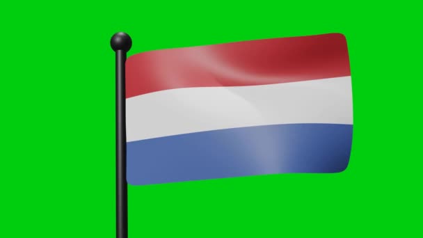 荷兰国旗在绿色背景上缓慢摆动 3D渲染旗帜 国庆庆祝活动 — 图库视频影像