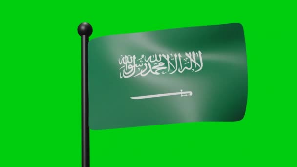 沙特阿拉伯国旗在绿色背景上缓慢摆动 3D渲染旗帜 国庆庆祝活动 — 图库视频影像
