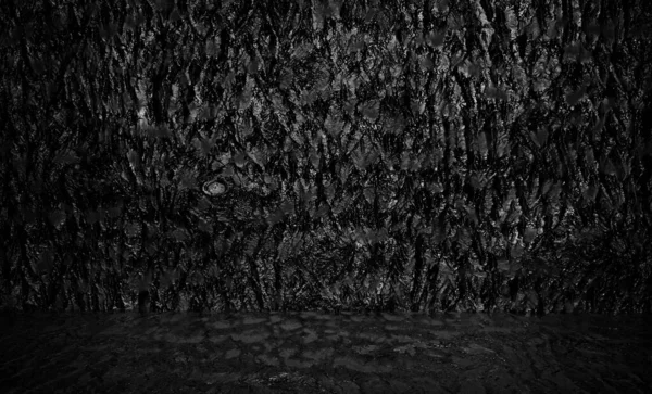 Grunge Wall Texture Black Background — Stock Photo, Image